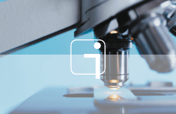 Niv1 INFO SCIENTIFIQUE